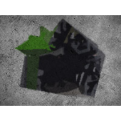 Blackberry