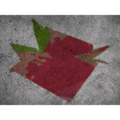 Raspberry